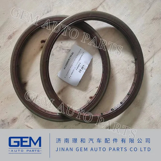 Sq99012340094 Комплект сальников для Sinotruk Beiben Shacman FAW Foton Truck Parts